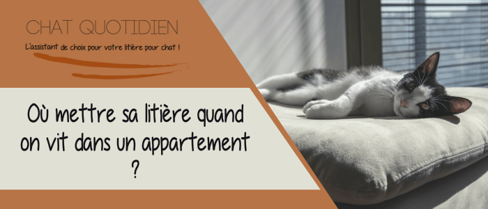 quelle litiere pour chat appartement