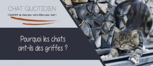 pourquoi les chats ont des griffes ?