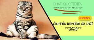 samedi 8 aout 2020 journée mondiale du chat