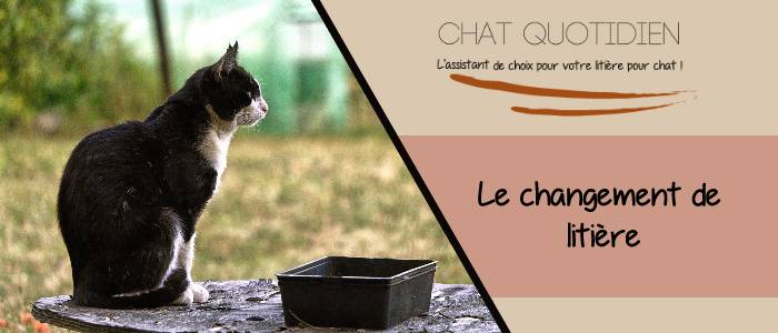 comment changer la litiere du chat