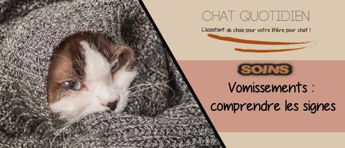 les différentes formes de vomi et de bile chez le chat